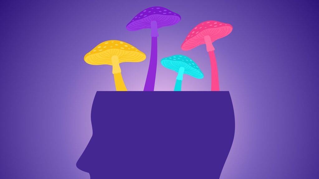 ‘There’s a lot of potential there’: Neuroscientist explains early research that psilocybin might help repair the brain after injury